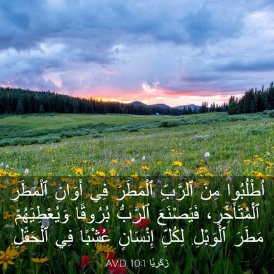 Picture 03 - زَكَريَّا 10:1 AVD - اُطْلُبُوا مِنَ ٱلرَّبِّ - Bible Verse Picture