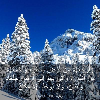 Picture 03 - زَكَريَّا 10:10 AVD - وَأُرْجِعُهُمْ مِنْ - Bible Verse Picture