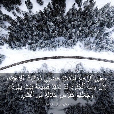 Picture 03 - زَكَريَّا 10:3 AVD - «عَلَى ٱلرُّعَاةِ - Bible Verse Picture