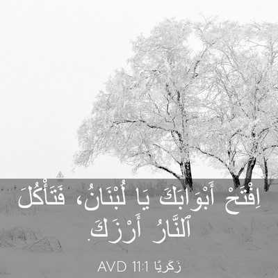 Picture 03 - زَكَريَّا 11:1 AVD - اِفْتَحْ أَبْوَابَكَ يَا - Bible Verse Picture