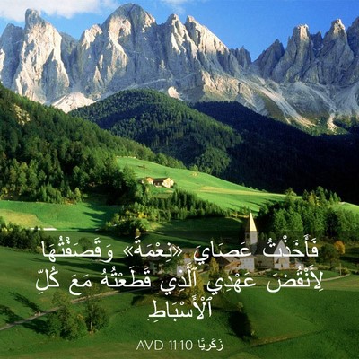 Picture 03 - زَكَريَّا 11:10 AVD - فَأَخَذْتُ عَصَايَ - Bible Verse Picture