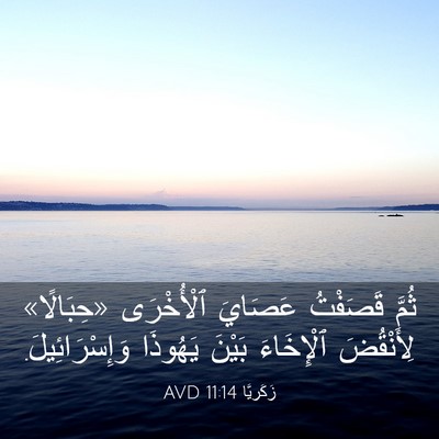 Picture 03 - زَكَريَّا 11:14 AVD - ثُمَّ قَصَفْتُ عَصَايَ - Bible Verse Picture