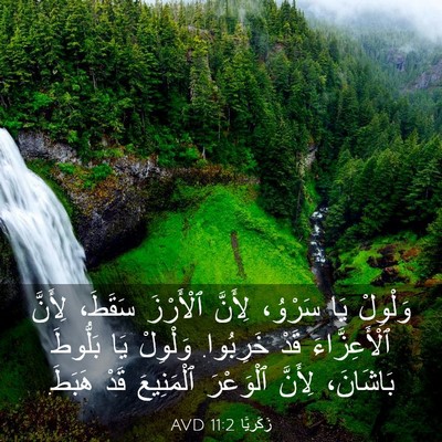 Picture 03 - زَكَريَّا 11:2 AVD - وَلْوِلْ يَا سَرْوُ، - Bible Verse Picture