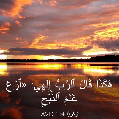 Picture 03 - زَكَريَّا 11:4 AVD - هَكَذَا قَالَ ٱلرَّبُّ - Bible Verse Picture