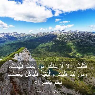 Picture 03 - زَكَريَّا 11:9 AVD - فَقُلْتُ: «لَا - Bible Verse Picture