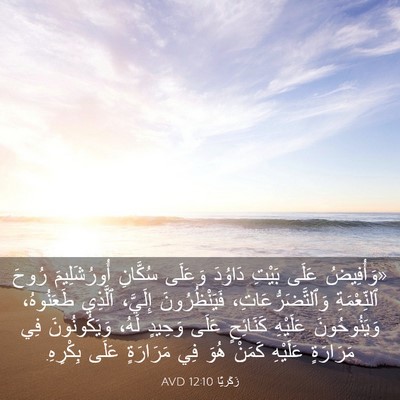 Picture 03 - زَكَريَّا 12:10 AVD - «وَأُفِيضُ عَلَى بَيْتِ - Bible Verse Picture