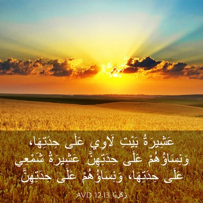 Picture 03 - زَكَريَّا 12:13 AVD - عَشِيرَةُ بَيْتِ لَاوِي - Bible Verse Picture