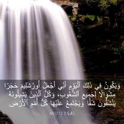Picture 03 - زَكَريَّا 12:3 AVD - وَيَكُونُ فِي ذَلِكَ - Bible Verse Picture