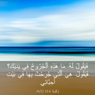 Picture 03 - زَكَريَّا 13:6 AVD - فَيَقُولُ لَهُ: مَا هَذِهِ - Bible Verse Picture
