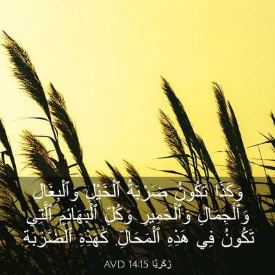Picture 03 - زَكَريَّا 14:15 AVD - وَكَذَا تَكُونُ ضَرْبَةُ - Bible Verse Picture