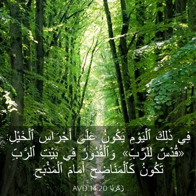 Picture 03 - زَكَريَّا 14:20 AVD - فِي ذَلِكَ ٱلْيَوْمِ - Bible Verse Picture
