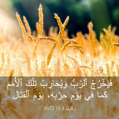 Picture 03 - زَكَريَّا 14:3 AVD - فَيَخْرُجُ ٱلرَّبُّ - Bible Verse Picture