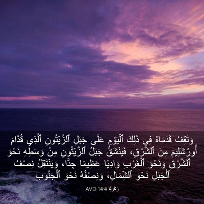 Picture 03 - زَكَريَّا 14:4 AVD - وَتَقِفُ قَدَمَاهُ فِي - Bible Verse Picture