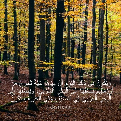 Picture 03 - زَكَريَّا 14:8 AVD - وَيَكُونُ فِي ذَلِكَ - Bible Verse Picture