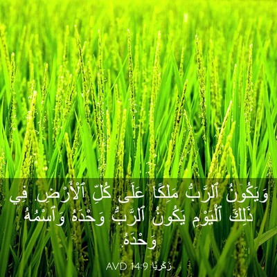 Picture 03 - زَكَريَّا 14:9 AVD - وَيَكُونُ ٱلرَّبُّ - Bible Verse Picture