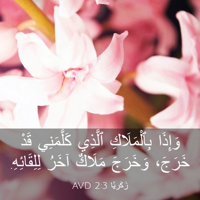 Picture 03 - زَكَريَّا 2:3 AVD - وَإِذَا بِٱلْمَلَاكِ - Bible Verse Picture