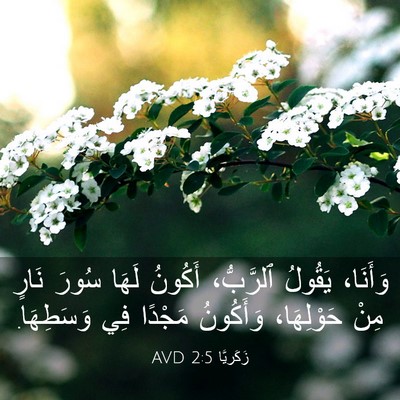 Picture 03 - زَكَريَّا 2:5 AVD - وَأَنَا، يَقُولُ - Bible Verse Picture