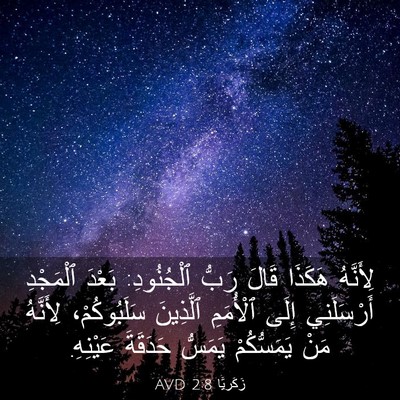 Picture 03 - زَكَريَّا 2:8 AVD - لِأَنَّهُ هَكَذَا قَالَ - Bible Verse Picture