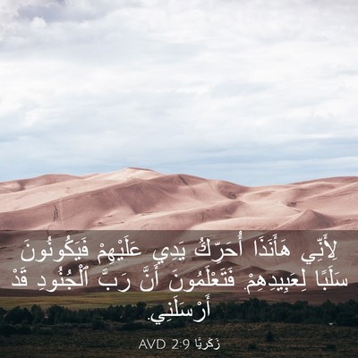 Picture 03 - زَكَريَّا 2:9 AVD - لِأَنِّي هَأَنَذَا - Bible Verse Picture