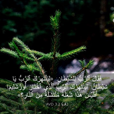 Picture 03 - زَكَريَّا 3:2 AVD - فَقَالَ ٱلرَّبُّ - Bible Verse Picture