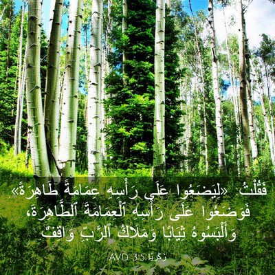 Picture 03 - زَكَريَّا 3:5 AVD - فَقُلْتُ: «لِيَضَعُوا - Bible Verse Picture