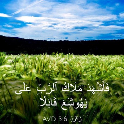 Picture 03 - زَكَريَّا 3:6 AVD - فَأَشْهَدَ مَلَاكُ - Bible Verse Picture