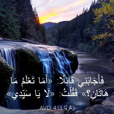 Picture 03 - زَكَريَّا 4:13 AVD - فَأَجَابَنِي قَائِلًا: - Bible Verse Picture