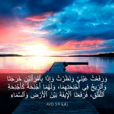 Picture 03 - زَكَريَّا 5:9 AVD - وَرَفَعْتُ عَيْنَيَّ - Bible Verse Picture