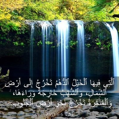 Picture 03 - زَكَريَّا 6:6 AVD - ٱلَّتِي فِيهَا ٱلْخَيْلُ - Bible Verse Picture