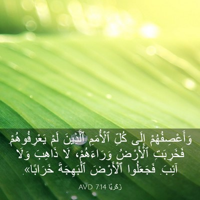 Picture 03 - زَكَريَّا 7:14 AVD - وَأَعْصِفُهُمْ إِلَى - Bible Verse Picture