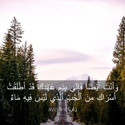 Picture 03 - زَكَريَّا 9:11 AVD - وَأَنْتِ أَيْضًا فَإِنِّي - Bible Verse Picture