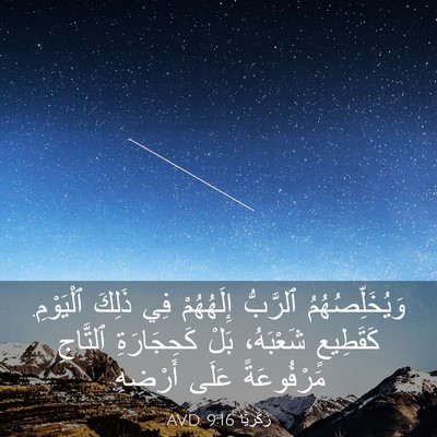 Picture 03 - زَكَريَّا 9:16 AVD - وَيُخَلِّصُهُمُ ٱلرَّبُّ - Bible Verse Picture
