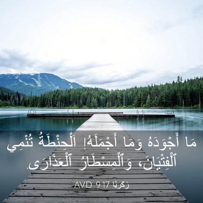 Picture 03 - زَكَريَّا 9:17 AVD - مَا أَجْوَدَهُ وَمَا - Bible Verse Picture