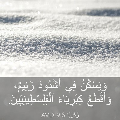 Picture 03 - زَكَريَّا 9:6 AVD - وَيَسْكُنُ فِي أَشْدُودَ - Bible Verse Picture