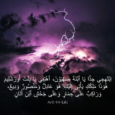 Picture 03 - زَكَريَّا 9:9 AVD - اِبْتَهِجِي جِدًّا يَا - Bible Verse Picture