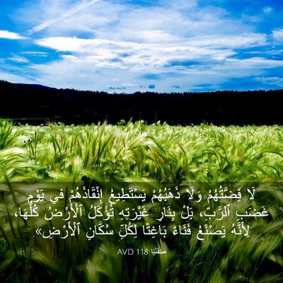 Picture 03 - صَفَنْيَا 1:18 AVD - لَا فِضَّتُهُمْ وَلَا - Bible Verse Picture