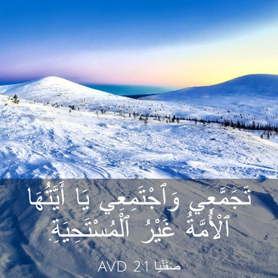 Picture 03 - صَفَنْيَا 2:1 AVD - تَجَمَّعِي وَٱجْتَمِعِي - Bible Verse Picture