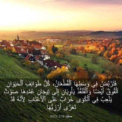 Picture 03 - صَفَنْيَا 2:14 AVD - فَتَرْبُضُ فِي وَسَطِهَا - Bible Verse Picture