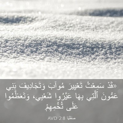 Picture 03 - صَفَنْيَا 2:8 AVD - «قَدْ سَمِعْتُ تَعْيِيرَ - Bible Verse Picture