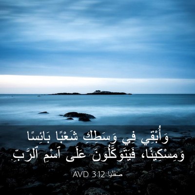 Picture 03 - صَفَنْيَا 3:12 AVD - وَأُبْقِي فِي وَسَطِكِ - Bible Verse Picture