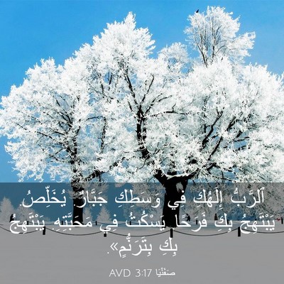 Picture 03 - صَفَنْيَا 3:17 AVD - ٱلرَّبُّ إِلَهُكِ فِي - Bible Verse Picture