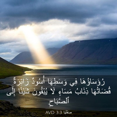 Picture 03 - صَفَنْيَا 3:3 AVD - رُؤَسَاؤُهَا فِي - Bible Verse Picture