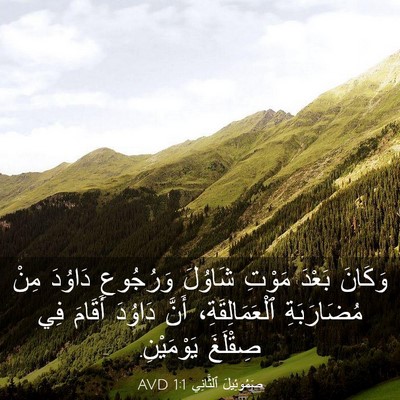 Picture 03 - صَمُوئِيلَ ٱلثَّانِي 1:1 AVD - وَكَانَ بَعْدَ مَوْتِ - Bible Verse Picture