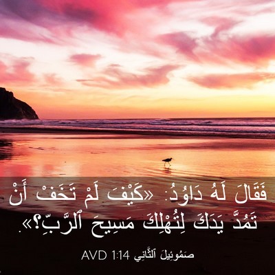 Picture 03 - صَمُوئِيلَ ٱلثَّانِي 1:14 AVD - فَقَالَ لَهُ دَاوُدُ: - Bible Verse Picture