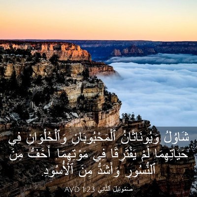 Picture 03 - صَمُوئِيلَ ٱلثَّانِي 1:23 AVD - شَاوُلُ وَيُونَاثَانُ - Bible Verse Picture