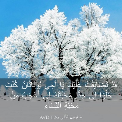 Picture 03 - صَمُوئِيلَ ٱلثَّانِي 1:26 AVD - قَدْ تَضَايَقْتُ عَلَيْكَ - Bible Verse Picture