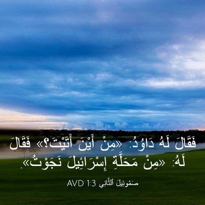 Picture 03 - صَمُوئِيلَ ٱلثَّانِي 1:3 AVD - فَقَالَ لَهُ دَاوُدُ: - Bible Verse Picture
