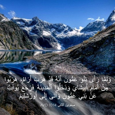 Picture 03 - صَمُوئِيلَ ٱلثَّانِي 10:14 AVD - وَلَمَّا رَأَى بَنُو - Bible Verse Picture