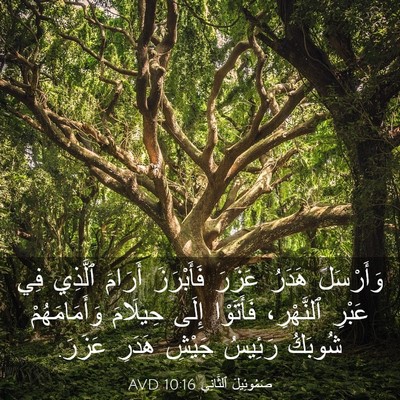 Picture 03 - صَمُوئِيلَ ٱلثَّانِي 10:16 AVD - وَأَرْسَلَ هَدَرُ عَزَرَ - Bible Verse Picture