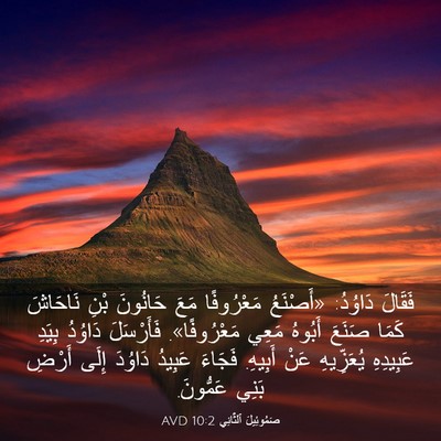 Picture 03 - صَمُوئِيلَ ٱلثَّانِي 10:2 AVD - فَقَالَ دَاوُدُ: «أَصْنَعُ - Bible Verse Picture